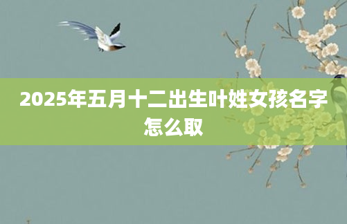 2025年五月十二出生叶姓女孩名字怎么取