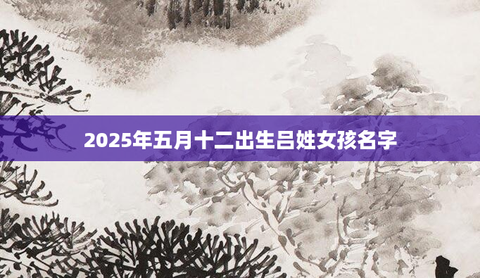 2025年五月十二出生吕姓女孩名字