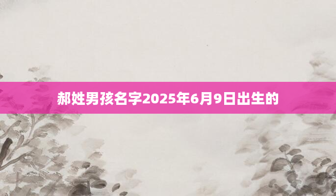 郝姓男孩名字2025年6月9日出生的