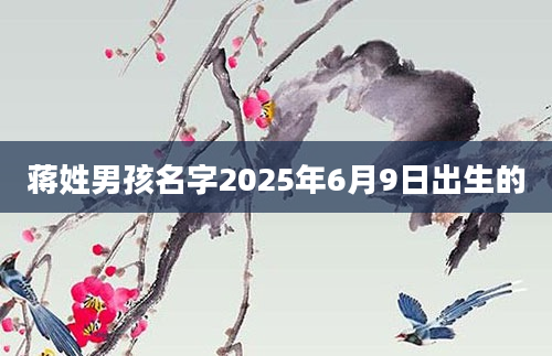 蒋姓男孩名字2025年6月9日出生的