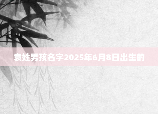 袁姓男孩名字2025年6月8日出生的