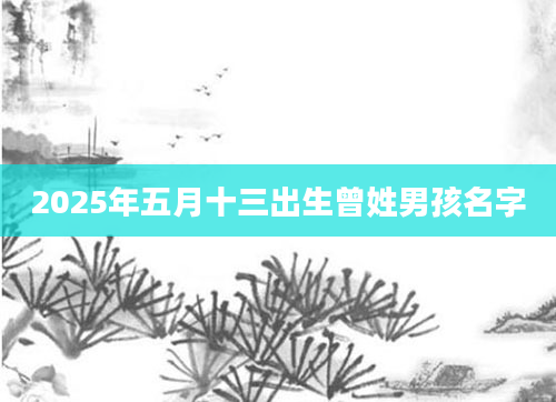 2025年五月十三出生曾姓男孩名字