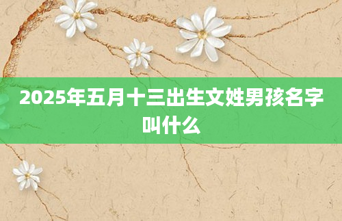 2025年五月十三出生文姓男孩名字叫什么