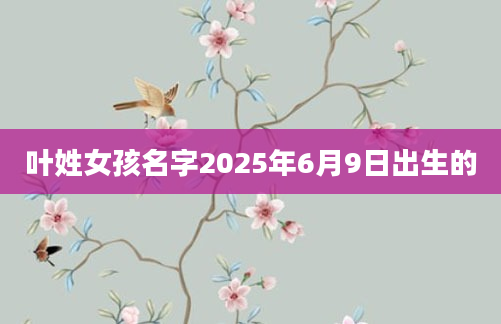 叶姓女孩名字2025年6月9日出生的