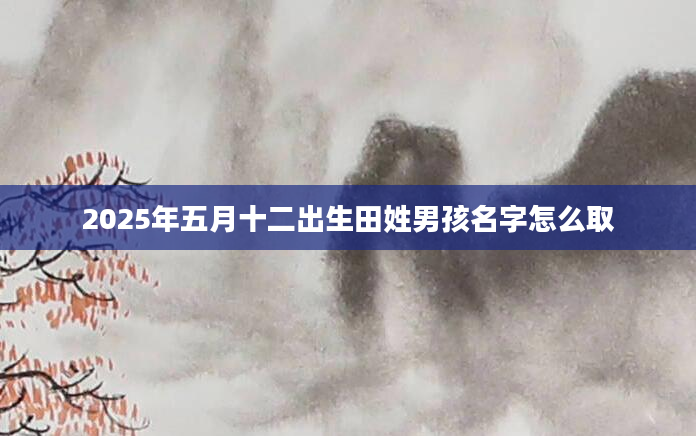 2025年五月十二出生田姓男孩名字怎么取