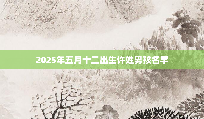 2025年五月十二出生许姓男孩名字