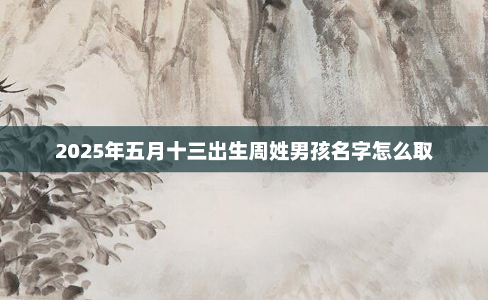 2025年五月十三出生周姓男孩名字怎么取