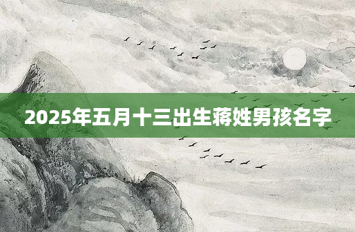 2025年五月十三出生蒋姓男孩名字