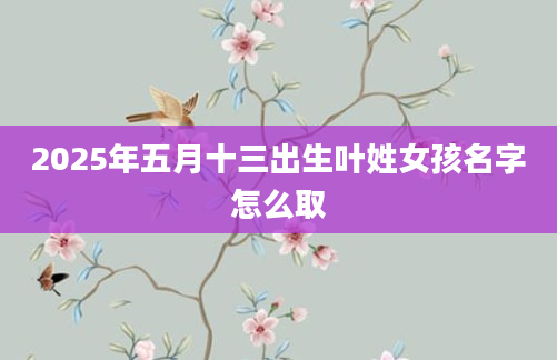 2025年五月十三出生叶姓女孩名字怎么取