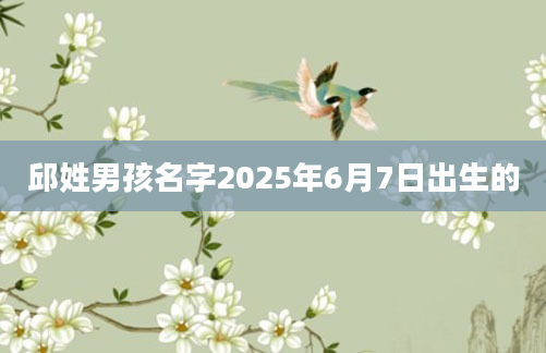 邱姓男孩名字2025年6月7日出生的