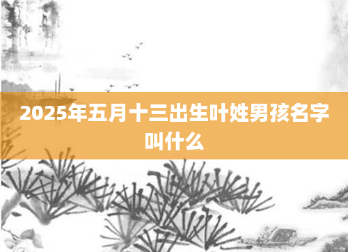 2025年五月十三出生叶姓男孩名字叫什么