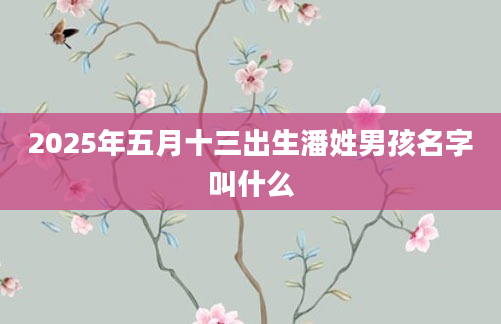 2025年五月十三出生潘姓男孩名字叫什么