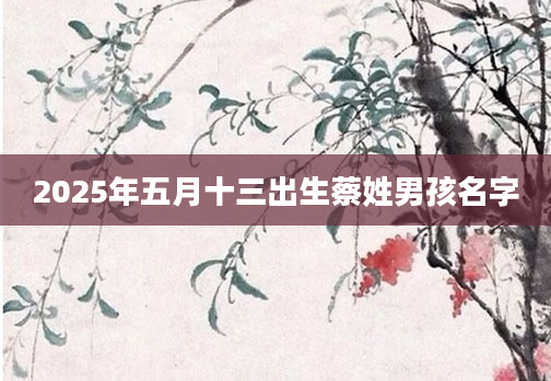 2025年五月十三出生蔡姓男孩名字