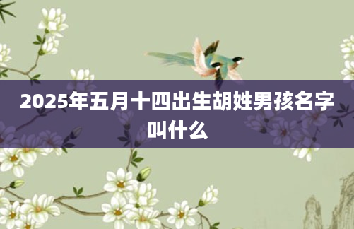 2025年五月十四出生胡姓男孩名字叫什么