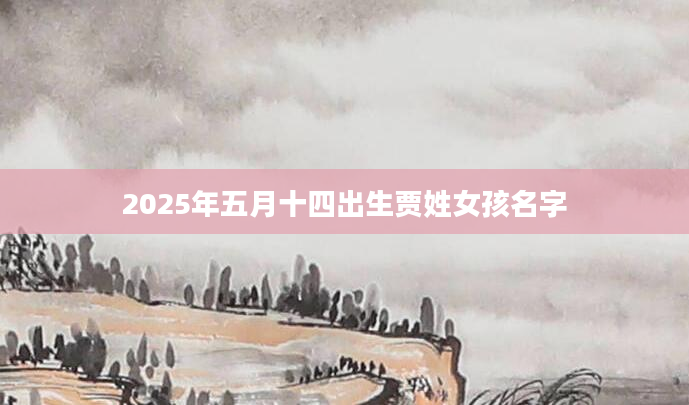 2025年五月十四出生贾姓女孩名字