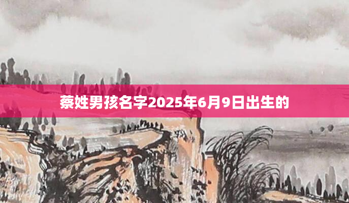 蔡姓男孩名字2025年6月9日出生的