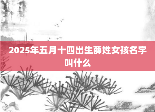 2025年五月十四出生薛姓女孩名字叫什么