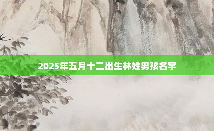 2025年五月十二出生林姓男孩名字