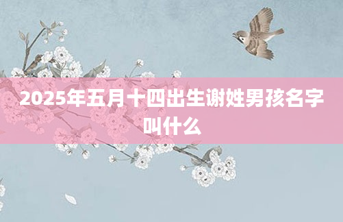 2025年五月十四出生谢姓男孩名字叫什么