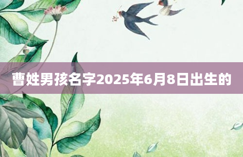曹姓男孩名字2025年6月8日出生的