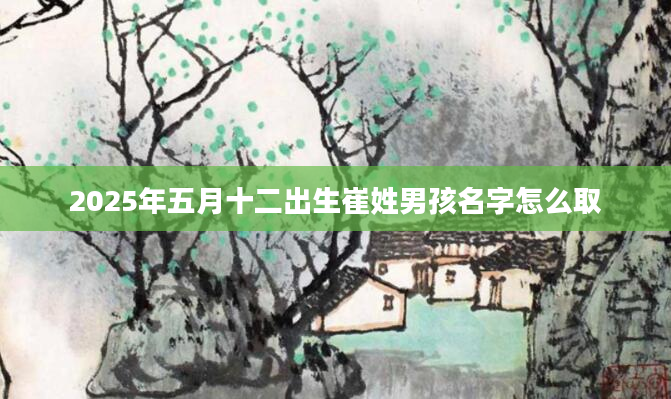 2025年五月十二出生崔姓男孩名字怎么取