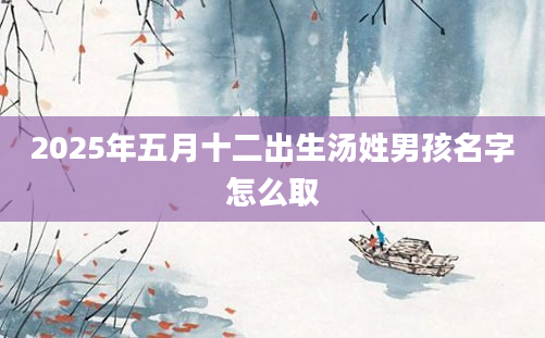 2025年五月十二出生汤姓男孩名字怎么取