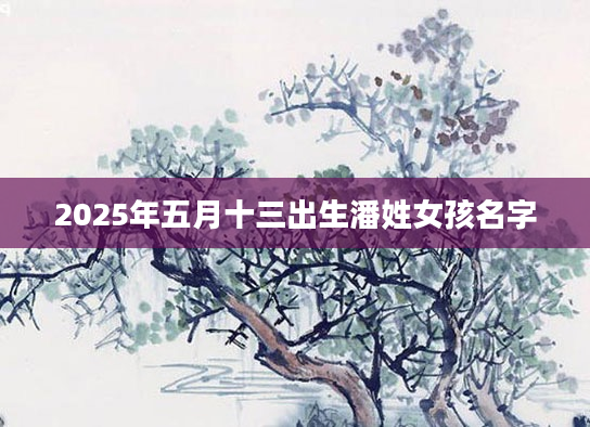 2025年五月十三出生潘姓女孩名字