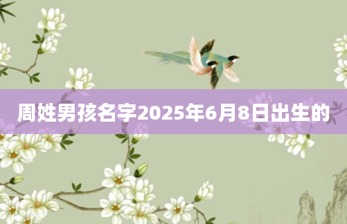 周姓男孩名字2025年6月8日出生的