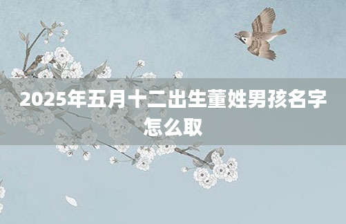 2025年五月十二出生董姓男孩名字怎么取