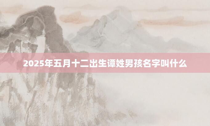 2025年五月十二出生谭姓男孩名字叫什么