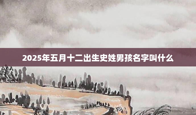 2025年五月十二出生史姓男孩名字叫什么