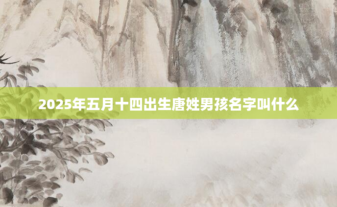 2025年五月十四出生唐姓男孩名字叫什么