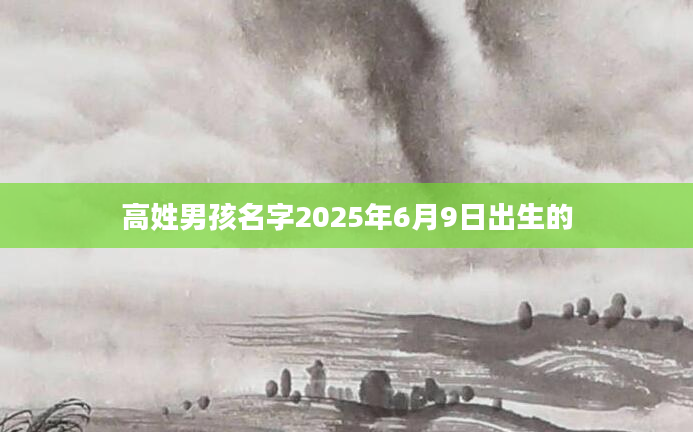 高姓男孩名字2025年6月9日出生的