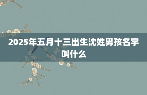 2025年五月十三出生沈姓男孩名字叫什么