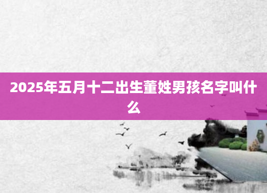 2025年五月十二出生董姓男孩名字叫什么