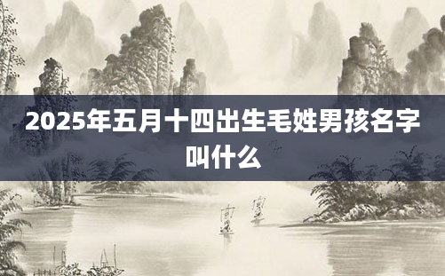 2025年五月十四出生毛姓男孩名字叫什么