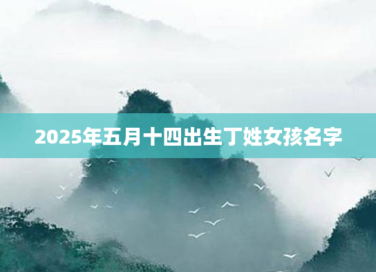 2025年五月十四出生丁姓女孩名字