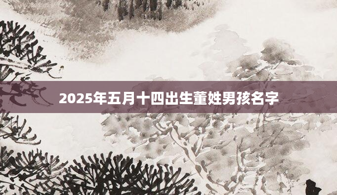 2025年五月十四出生董姓男孩名字