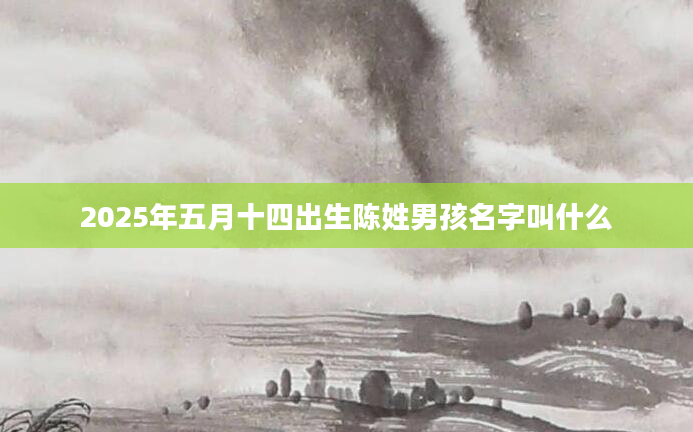 2025年五月十四出生陈姓男孩名字叫什么
