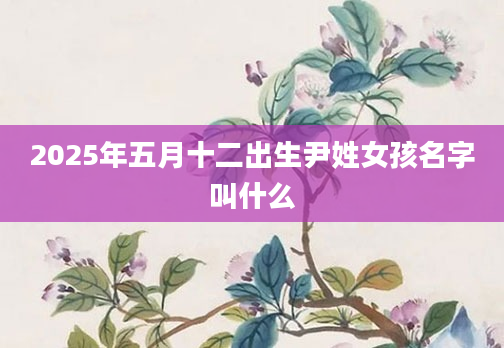 2025年五月十二出生尹姓女孩名字叫什么