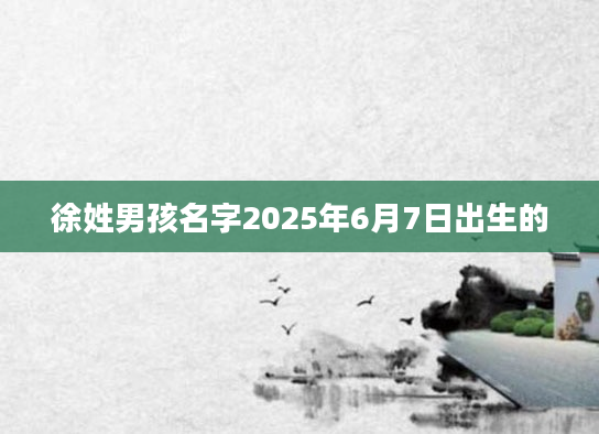 徐姓男孩名字2025年6月7日出生的