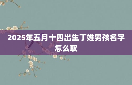 2025年五月十四出生丁姓男孩名字怎么取
