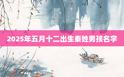 2025年五月十二出生秦姓男孩名字