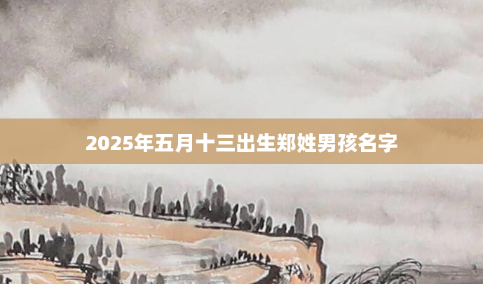 2025年五月十三出生郑姓男孩名字