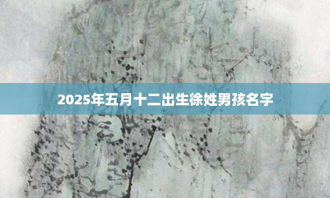 2025年五月十二出生徐姓男孩名字
