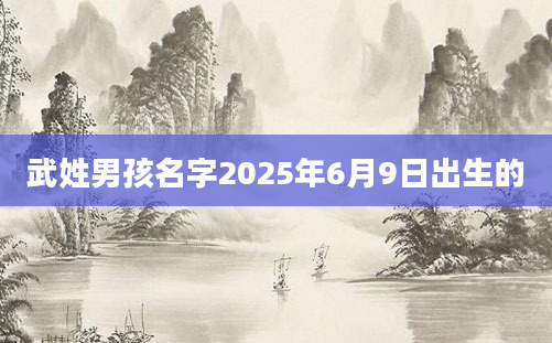 武姓男孩名字2025年6月9日出生的