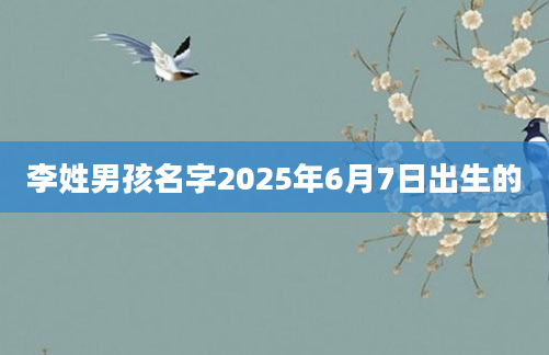 李姓男孩名字2025年6月7日出生的