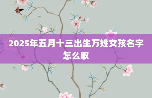 2025年五月十三出生万姓女孩名字怎么取