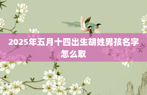 2025年五月十四出生胡姓男孩名字怎么取