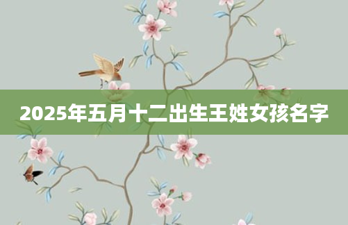 2025年五月十二出生王姓女孩名字